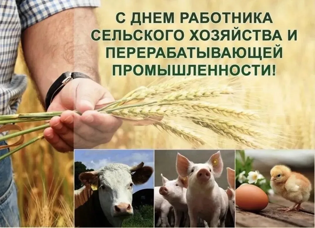 С Днём работников сельского хозяйства и перерабатывающей промышленности!