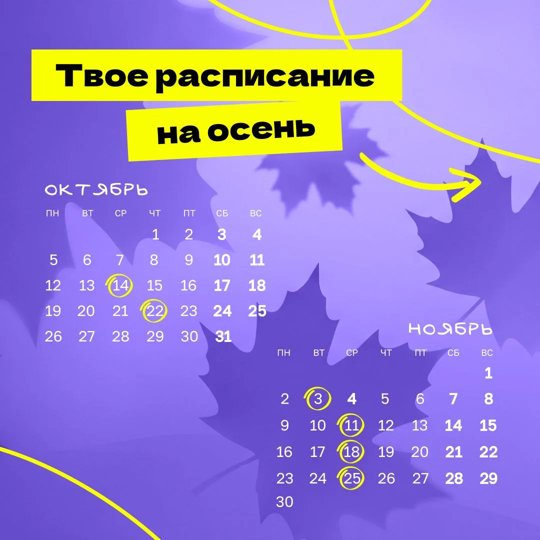 А мы поможем разобраться 😎