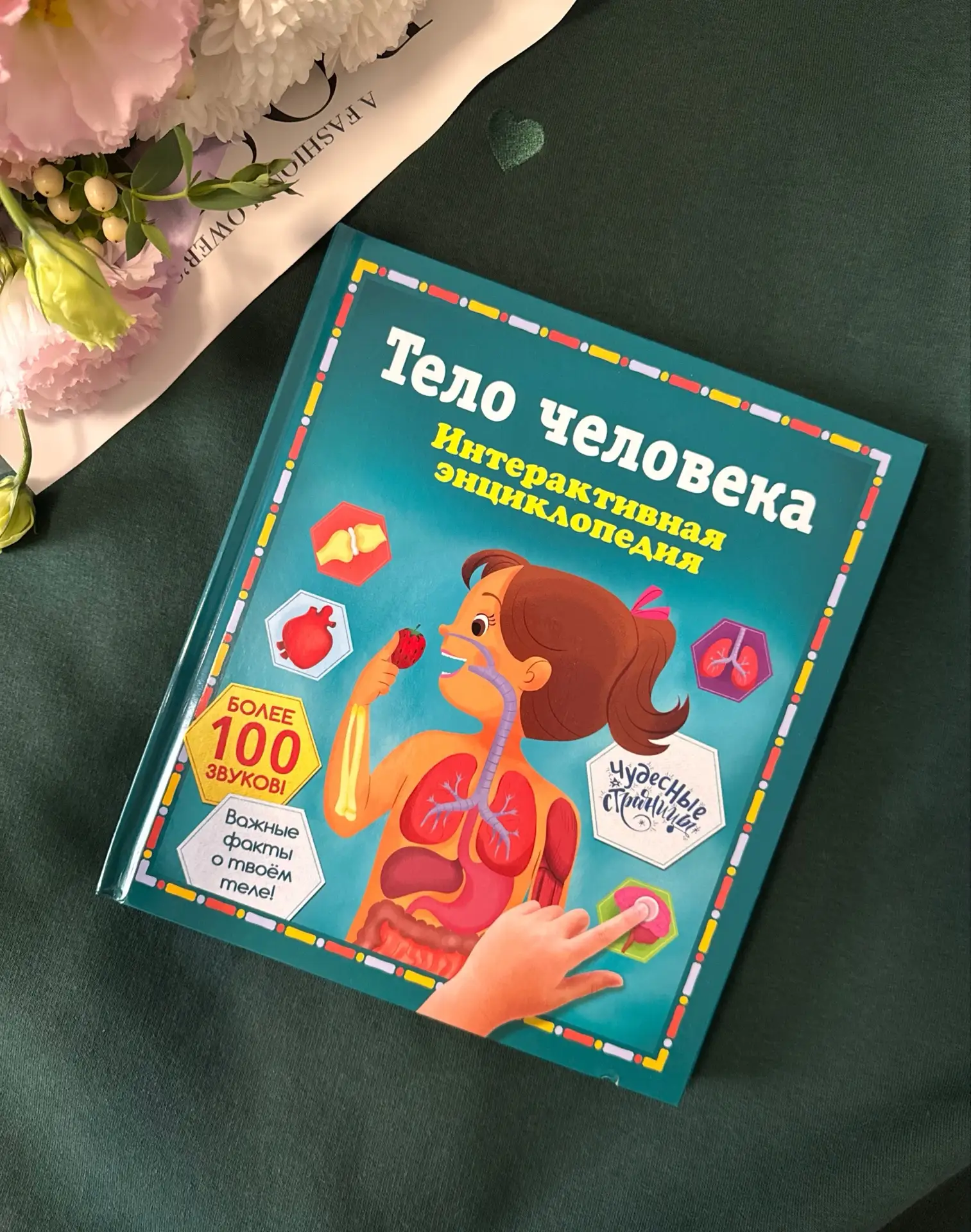 «Тело человека. Интерактивная энциклопедия»