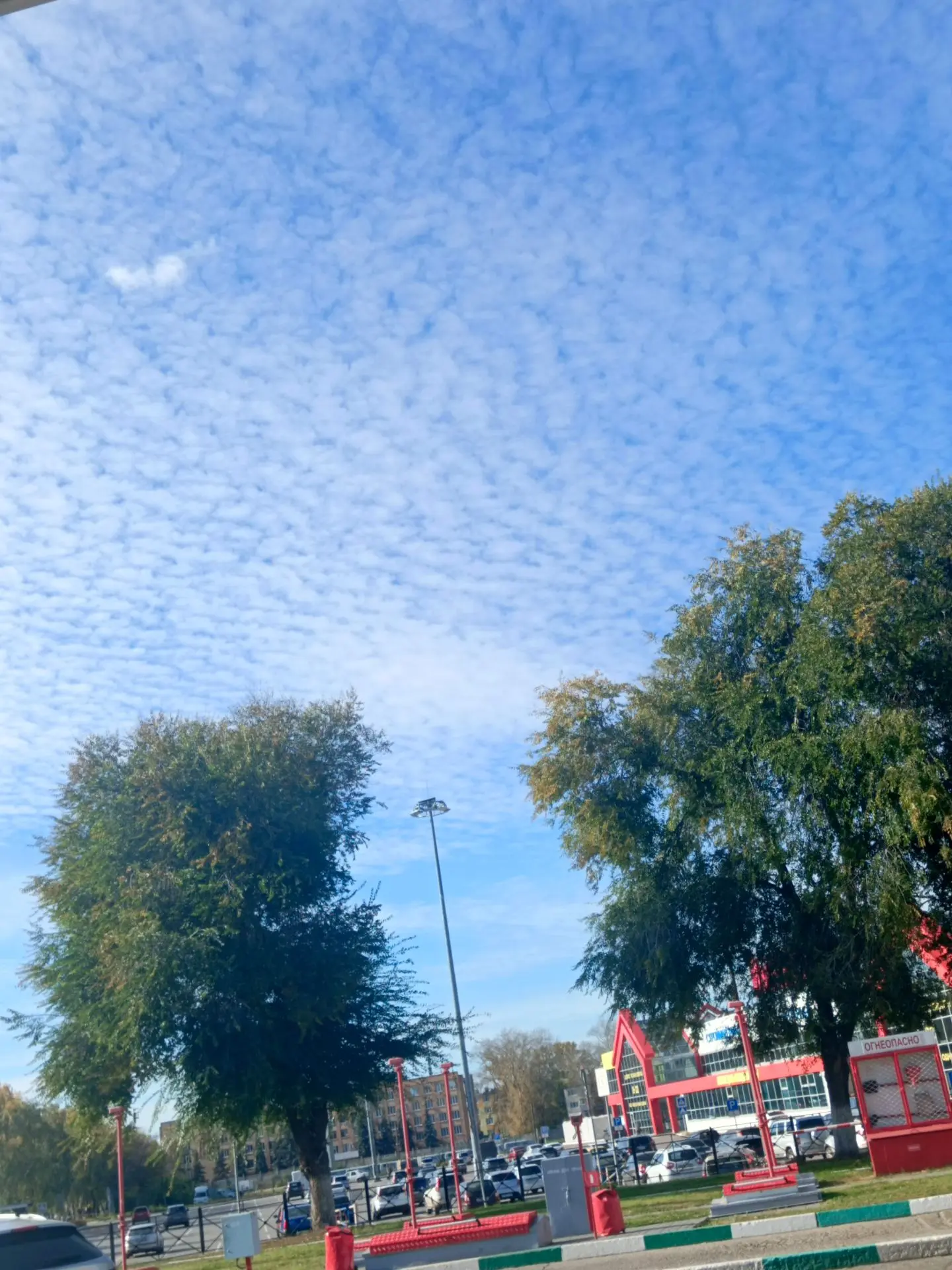Нет, ну какова красота 😍😍😍