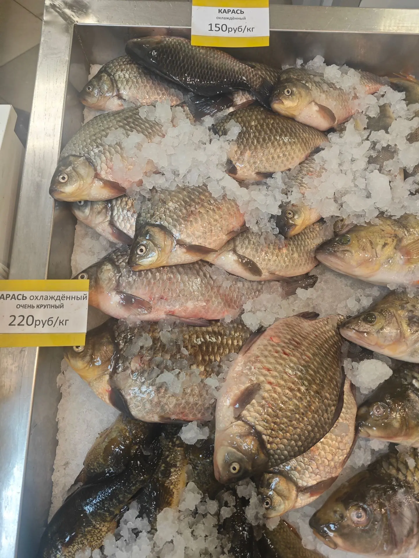 🐟 СВЕЖЕЕ ПОСТУПЛЕНИЕ! 🐟