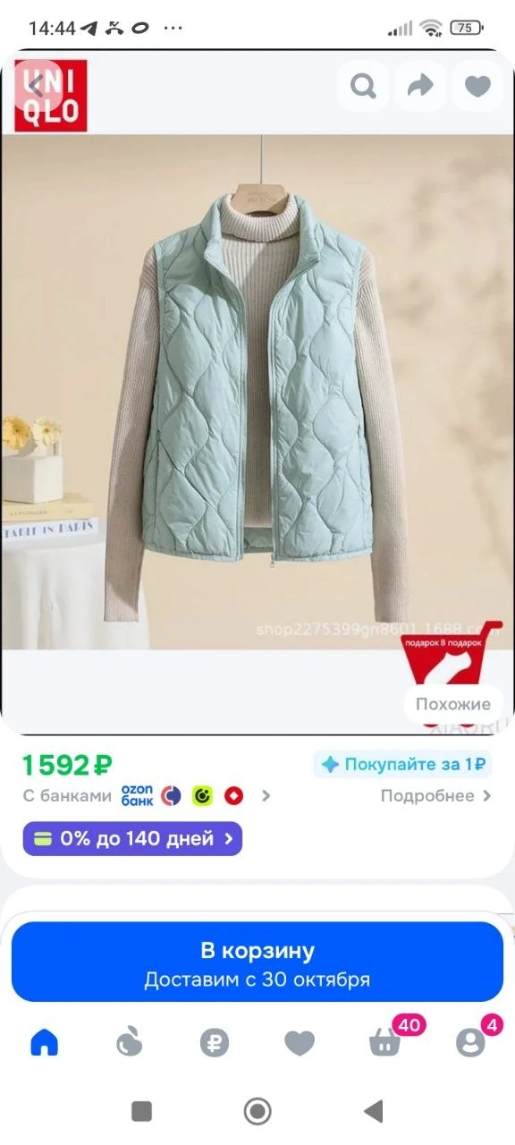Пуховик