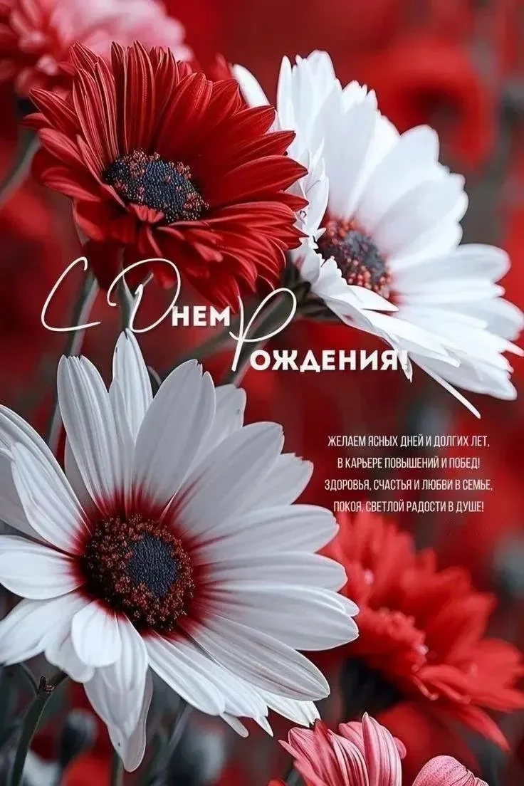 #СДнемРождения