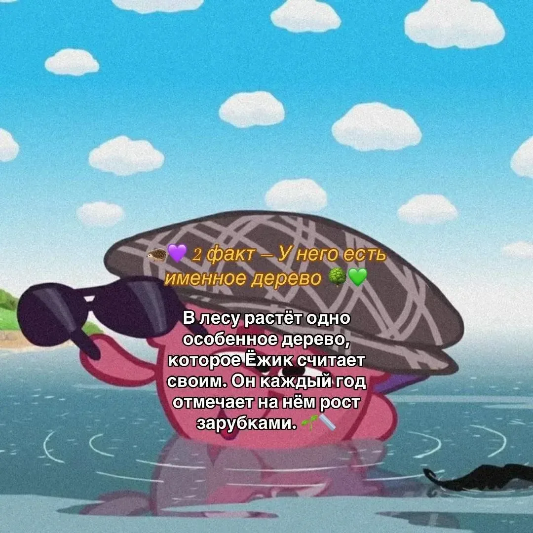 Факт о Ёжике