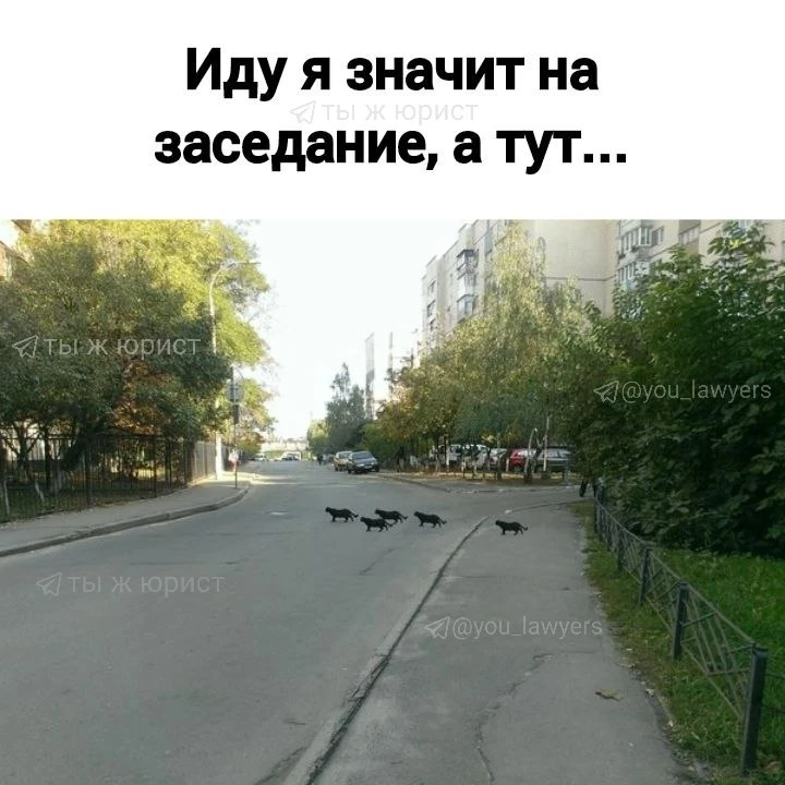 Доброе утро!!!😂😂😂