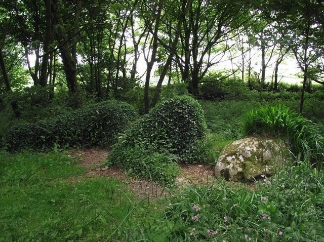 The Lost Gardens of Heligan — один из самых известных ботанических садов Великобритании...