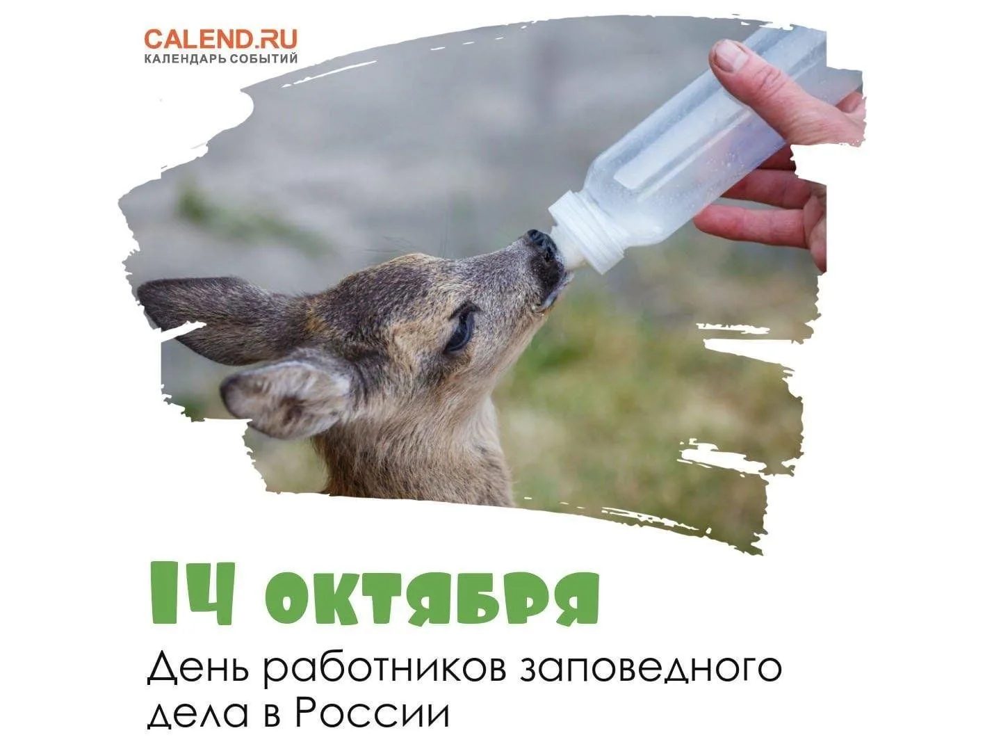 📅 14 октября - День работников заповедного дела!