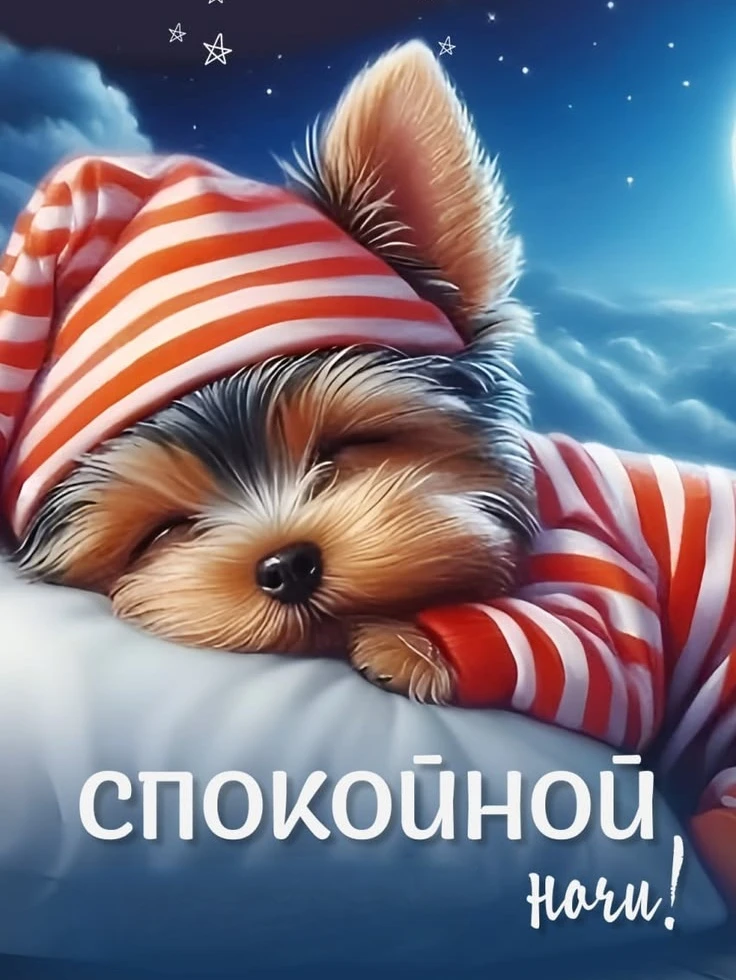 Всем сладких снов!!! 🥱❤️💋