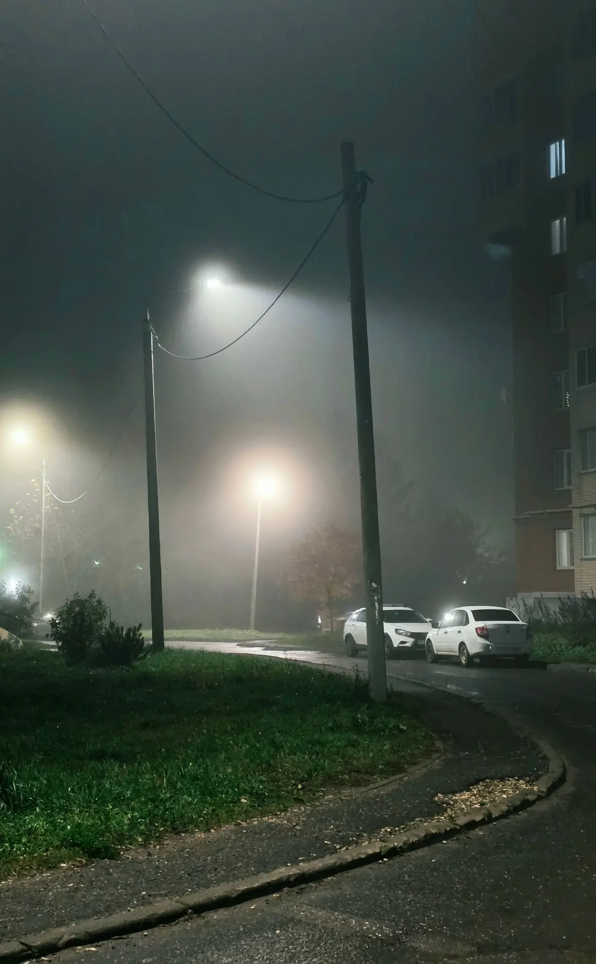 На улице густой туман😱