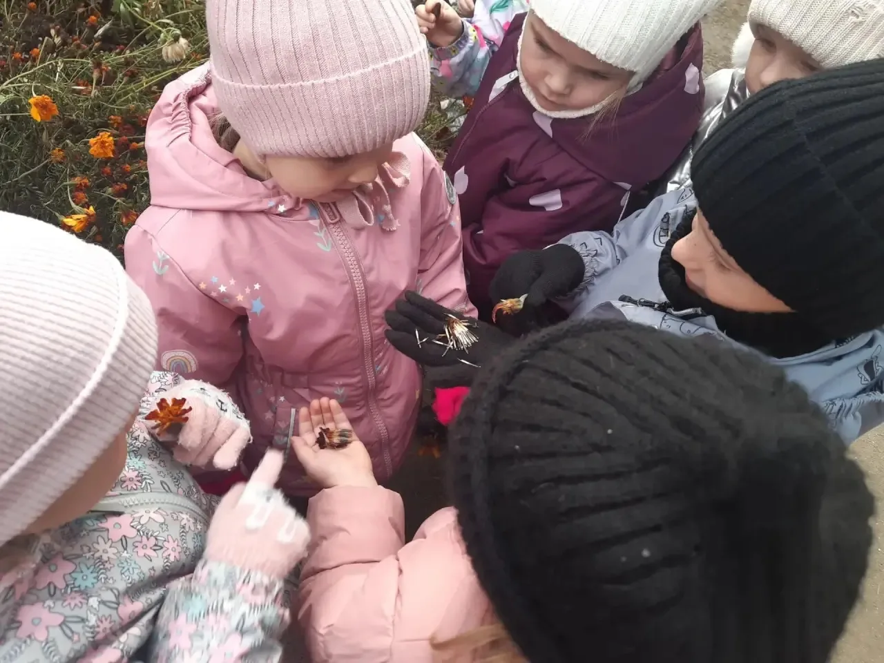 Маленькие исследователи: поиск золотых следов осени 🍂🔎🍁