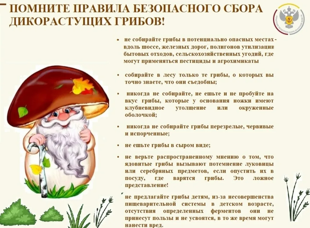 🍂Осенняя погода радует. Грибники продолжают свою тихую охоту. А Управление Роспотребна...