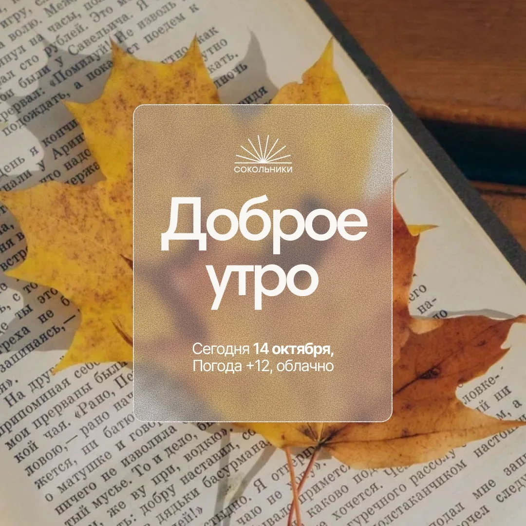 Доброе утро 🍂