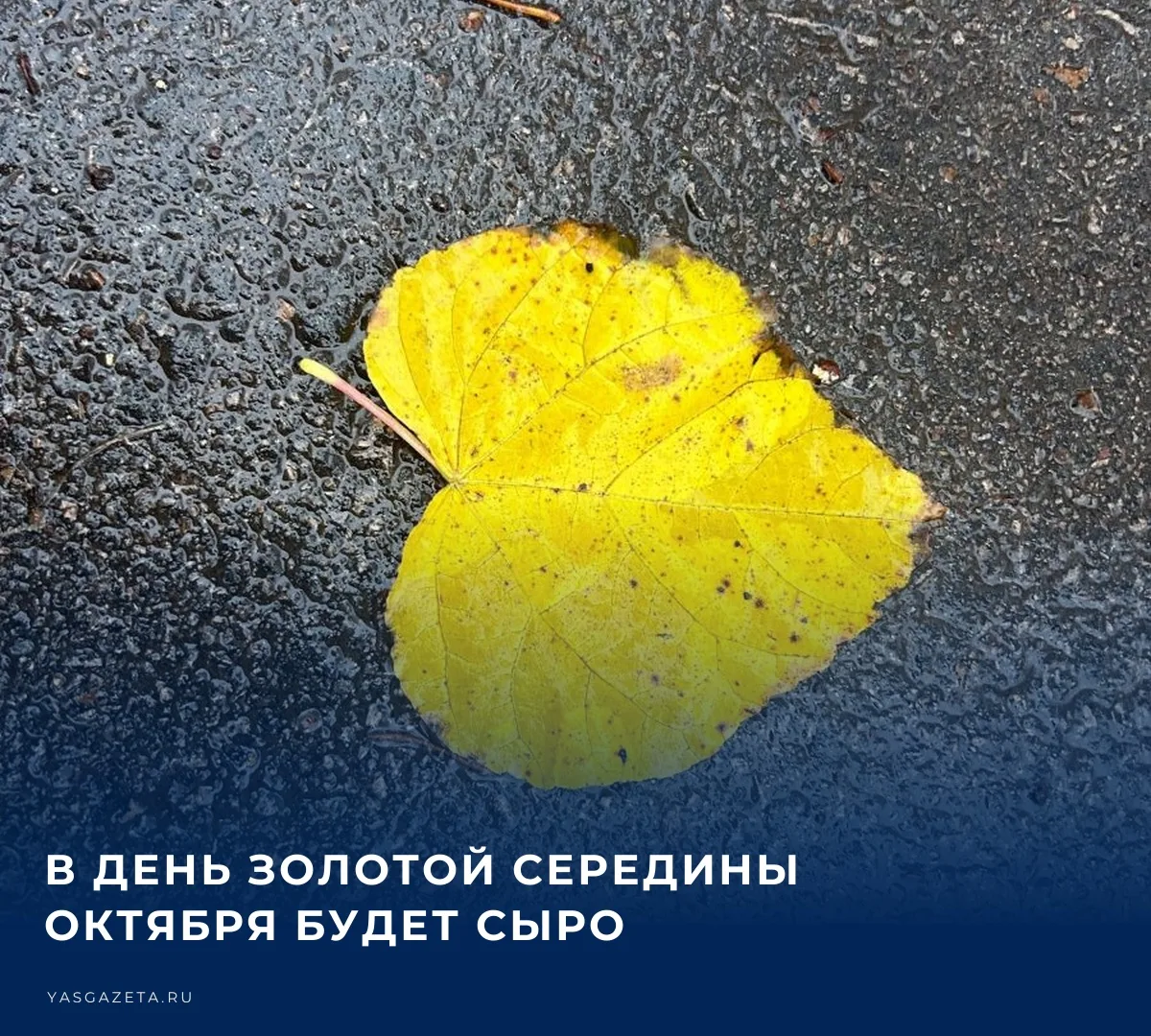 ☁️ По прогнозам синоптиков,в четверг- облачно, небольшой дождь.​