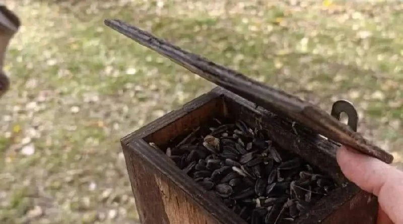 Барнаульцы голоднее белок?🤔