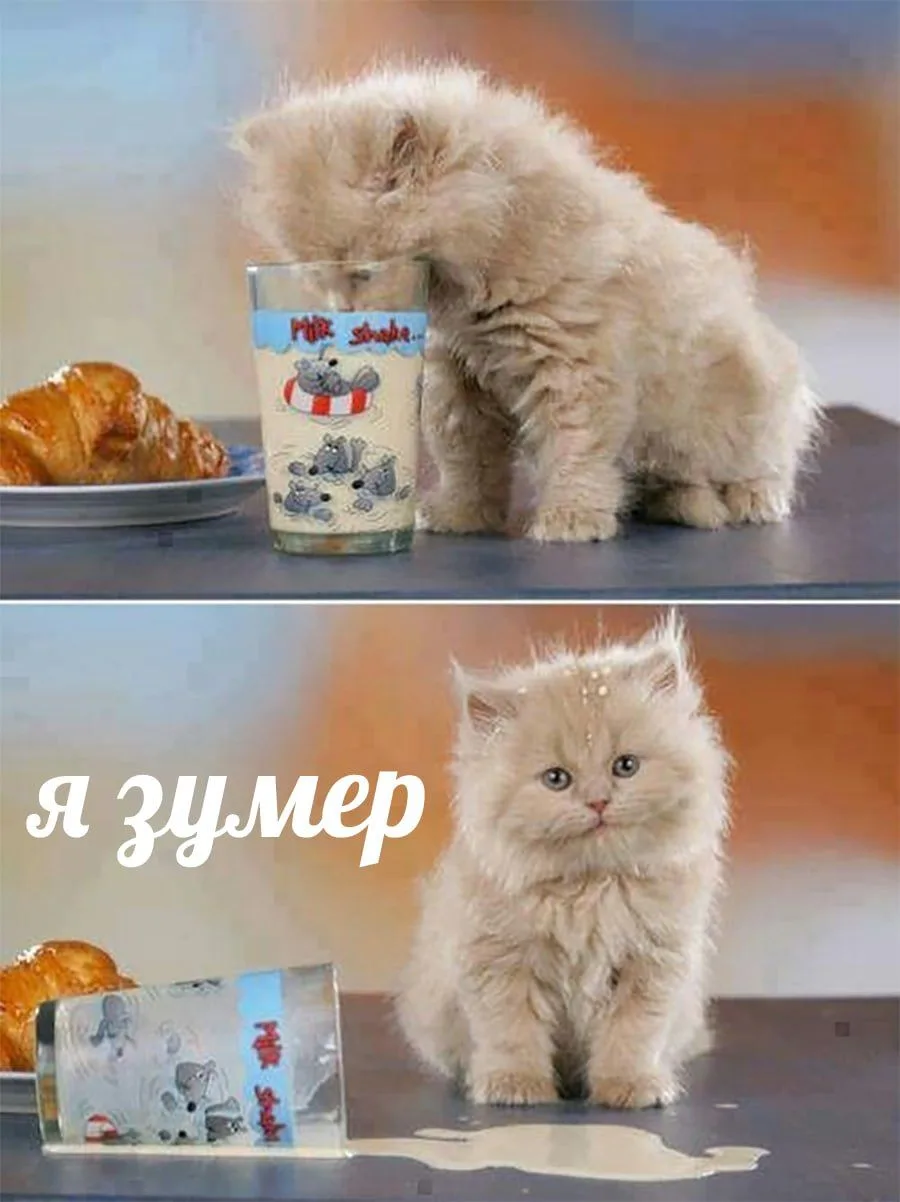В Москве запустили курсы, где зумеров учат подавать стакан воды родителям в старости — ...