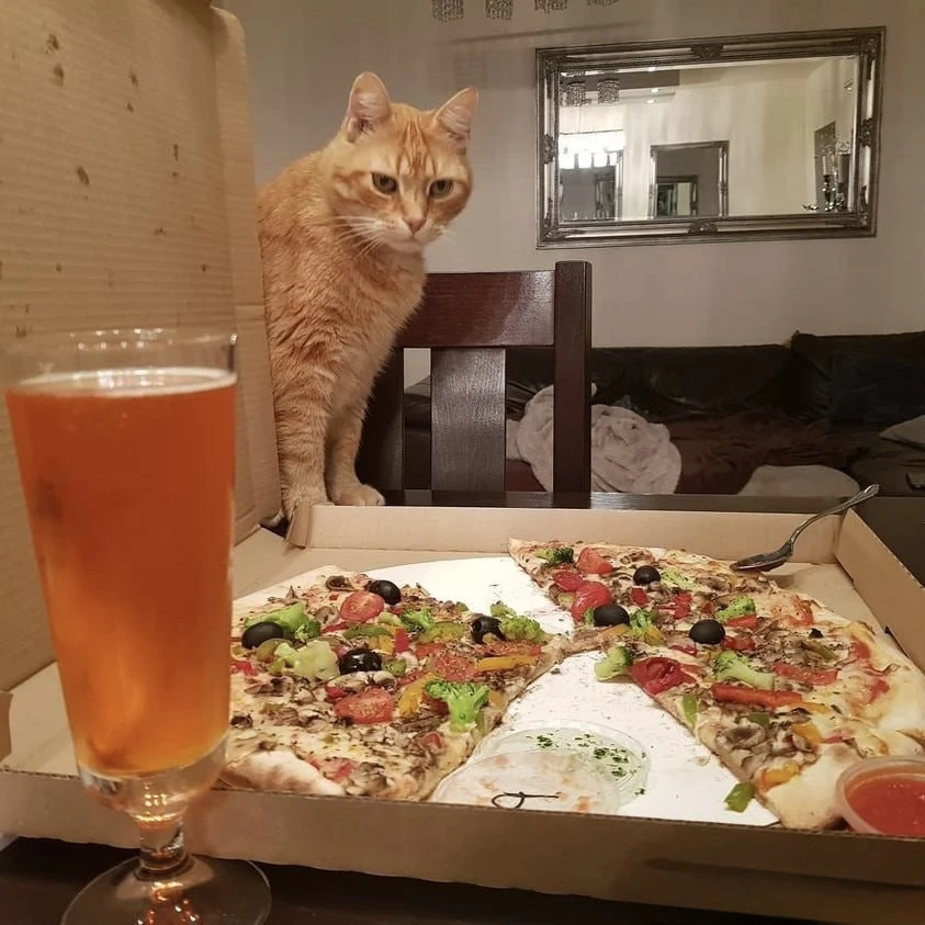 🍺 Международный день пива и пиццы отмечается сегодня