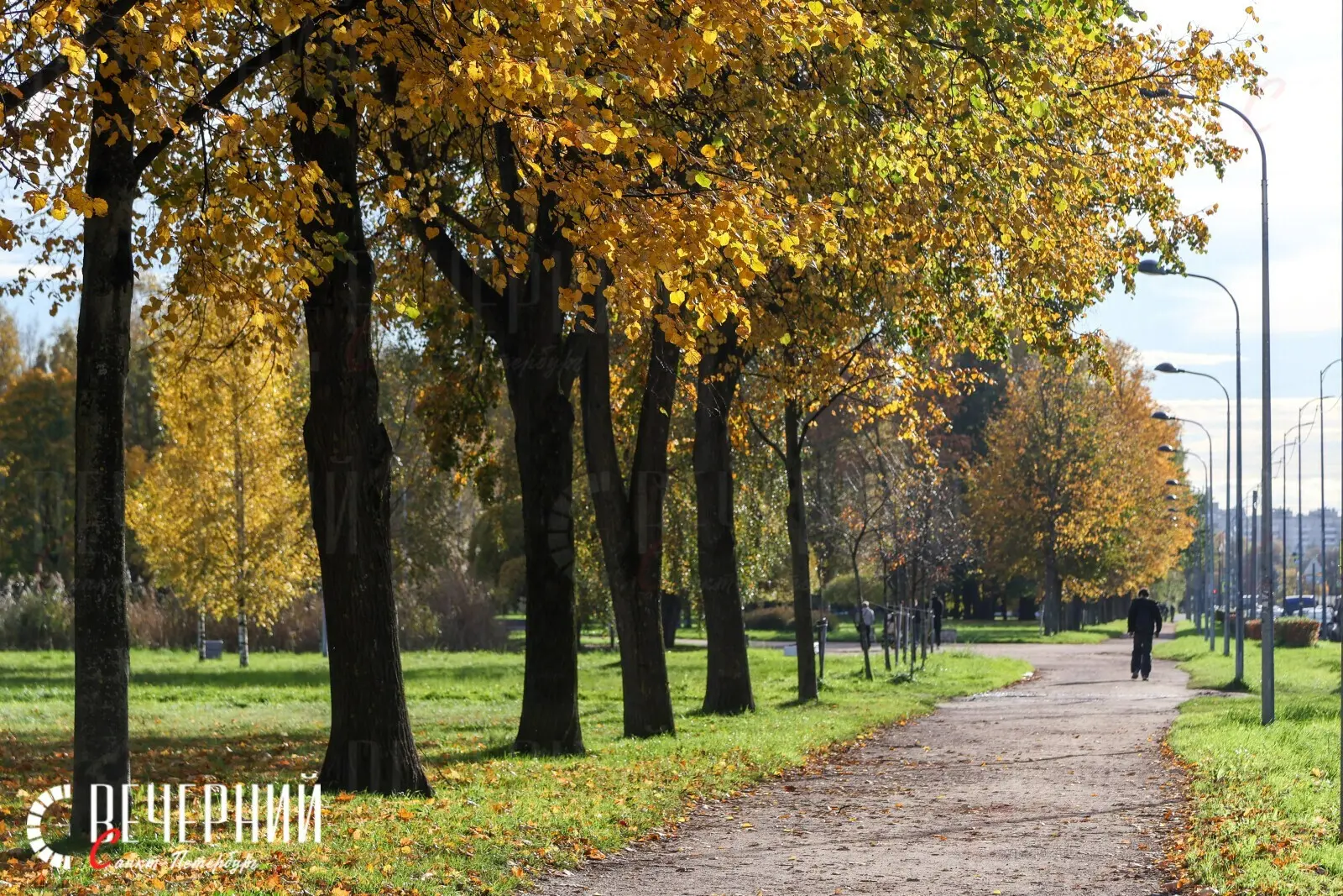 ☀️ Доброе субботнее утро, Петербург!