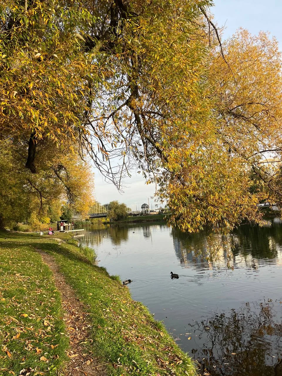 Прогулялись по городу и собрали для вас локации для осенних фотографий 🍂