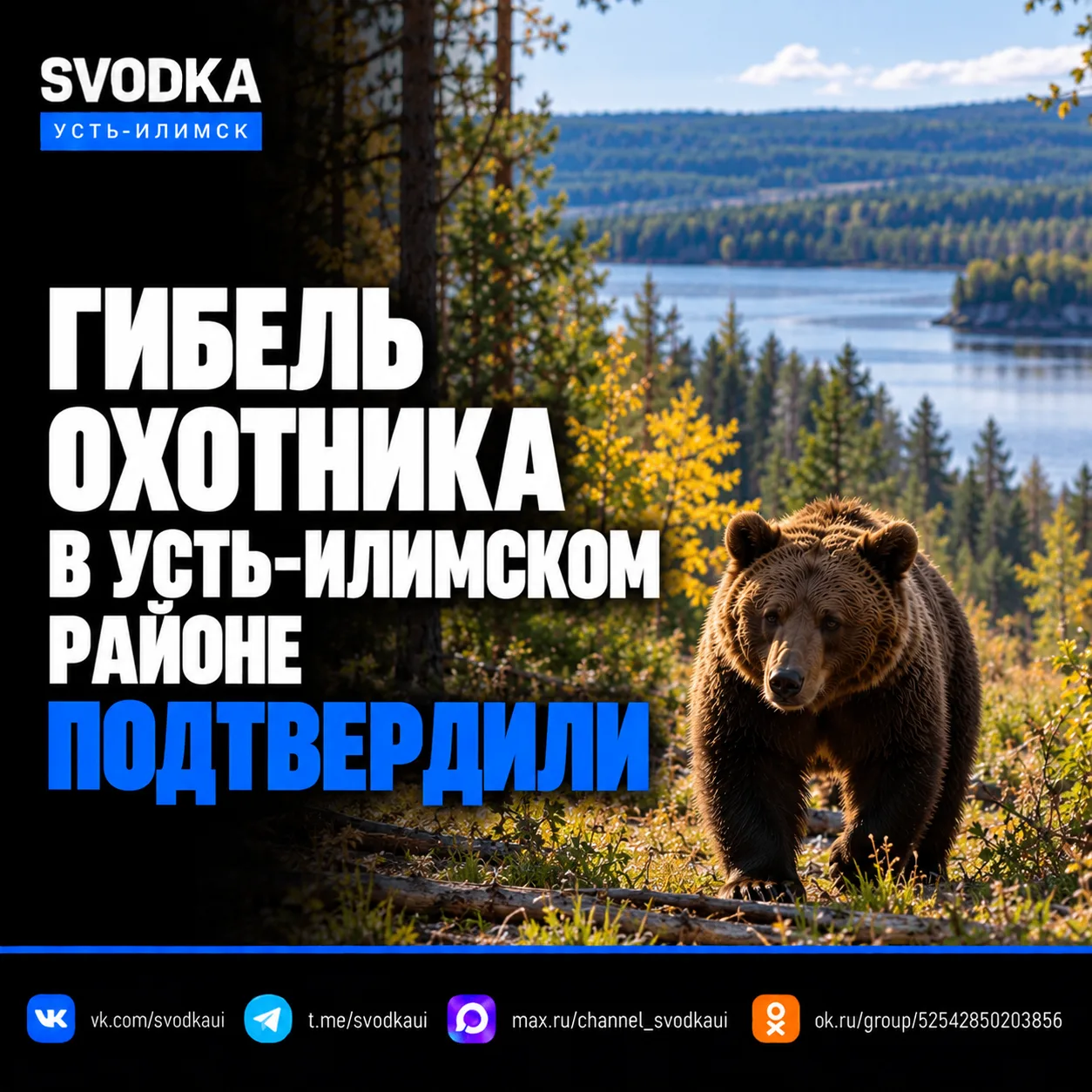 🐻 Гибель охотника в Усть-Илимском районе подтвердили