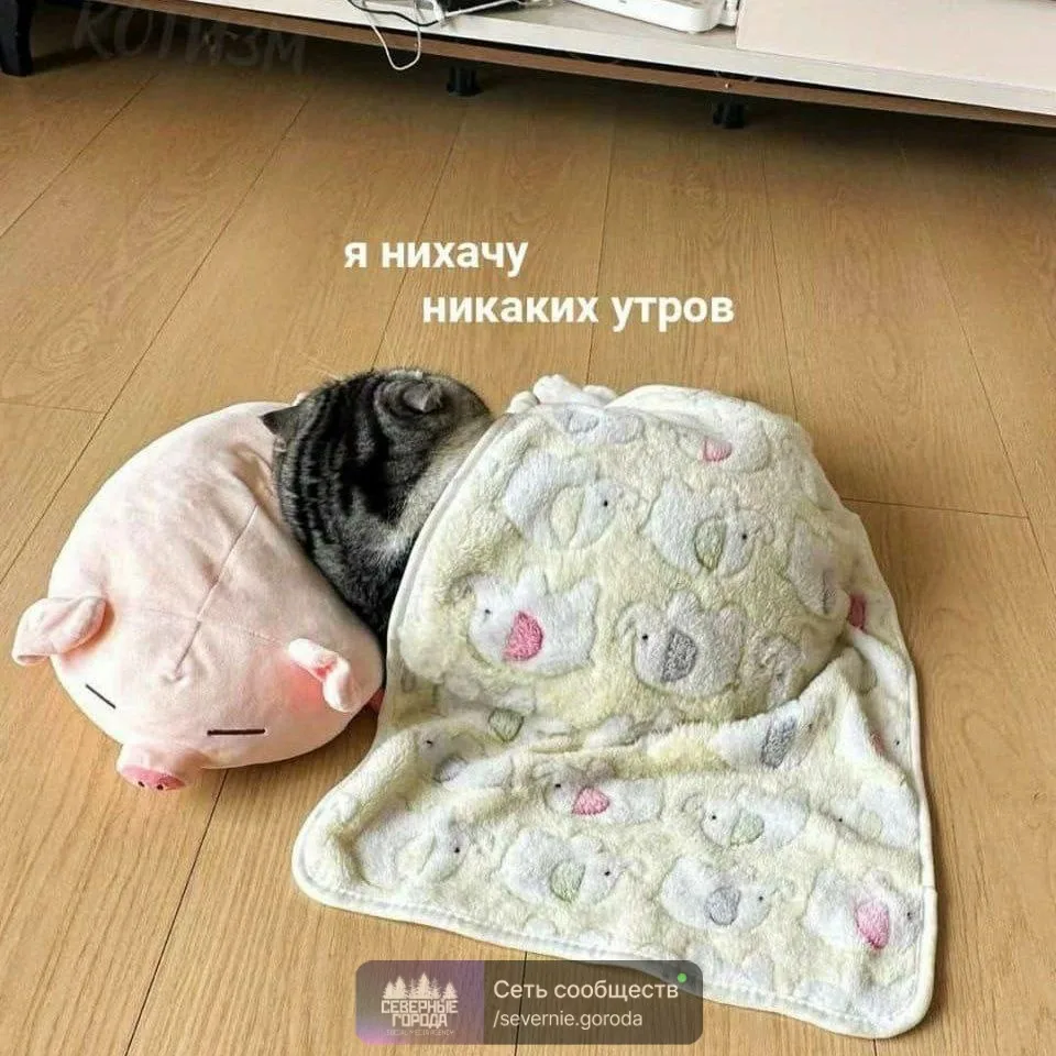☹ Если сегодня вам тяжело встать с кровати, то мы вас понимаем.