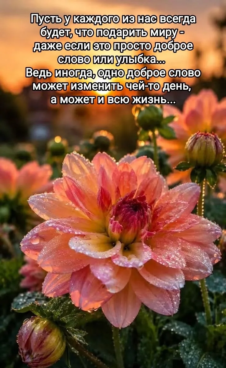 🧡🧡🧡