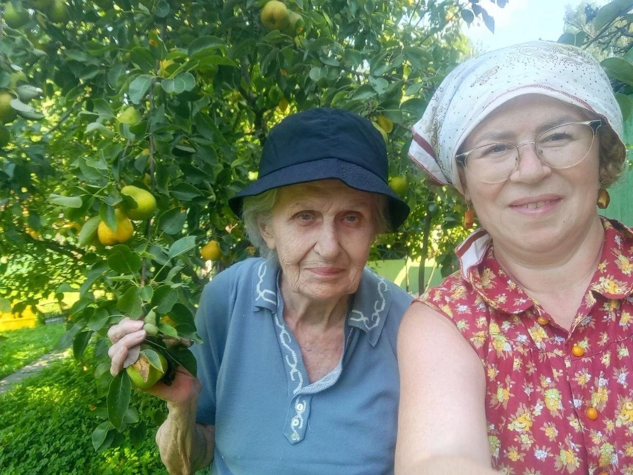🍐 Когда груши с дачи становятся историей любви