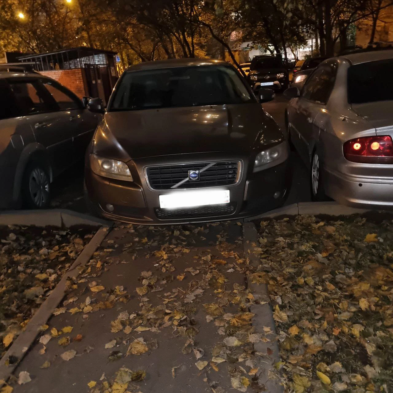 Очередной гений парковки в Бирюлёво