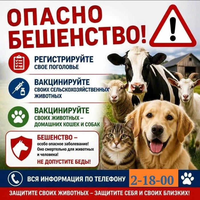 Бешенство – вирусная болезнь, поражающая нервную систему человека и животных. Без профи...