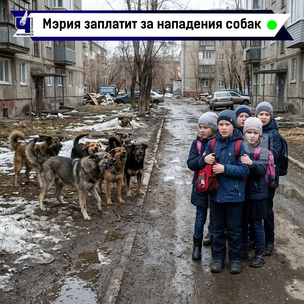 💸 Челябинским школьникам выплатят 360 тысяч рублей после нападений собак