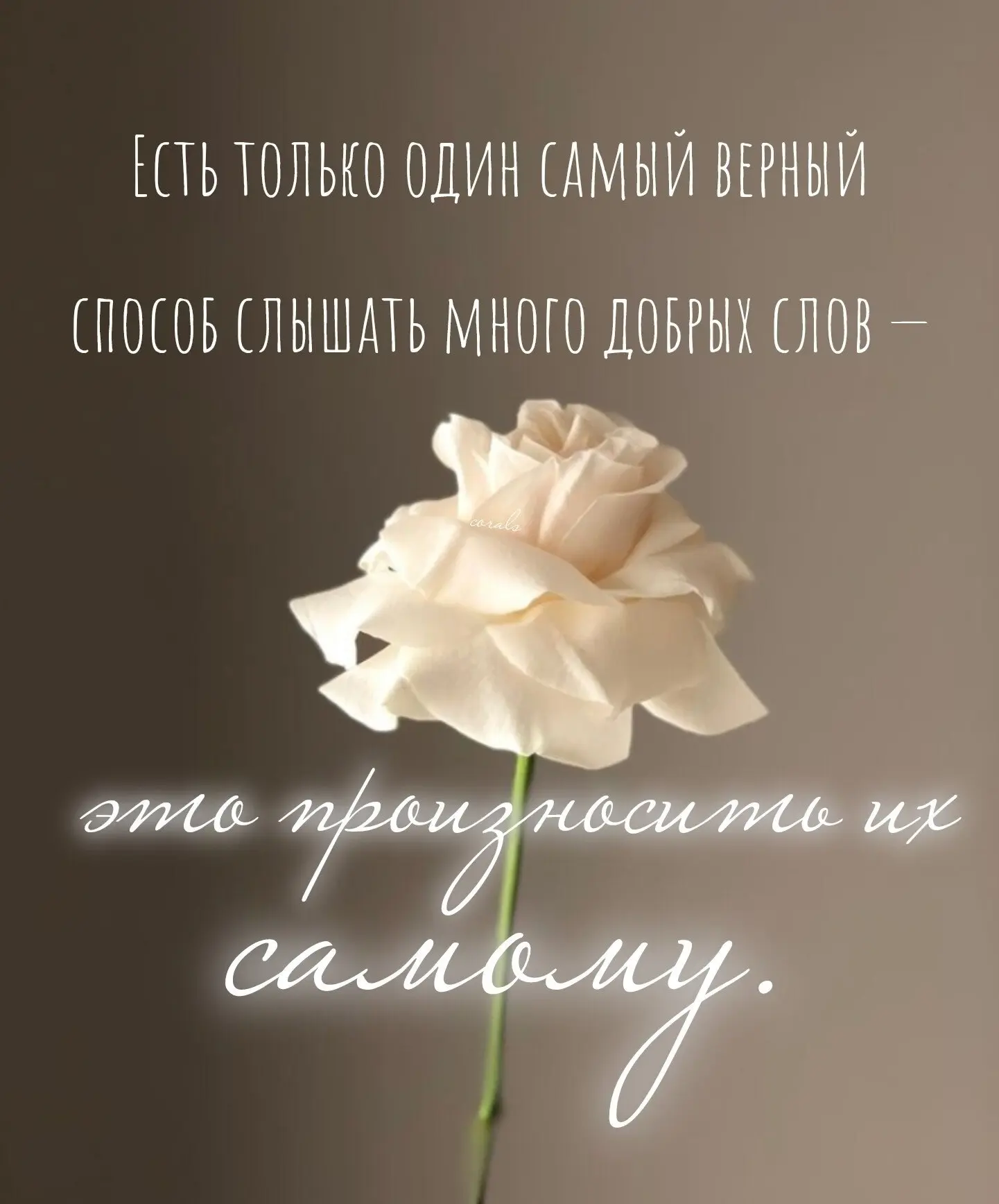 🇷🇺  Мы в МАХ : https://max.ru/dusha_angela_new