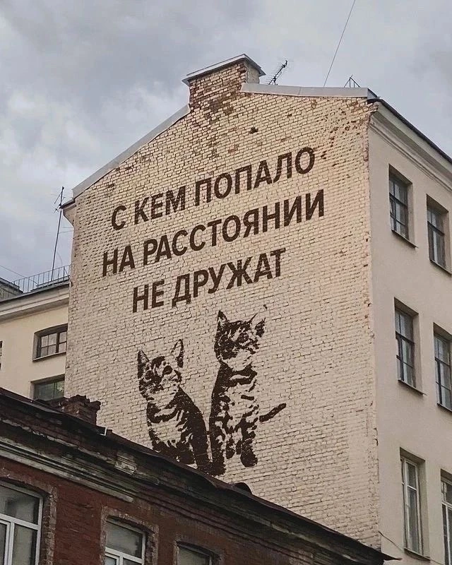 с кем попало на расстоянии не дружат 🫶🏻