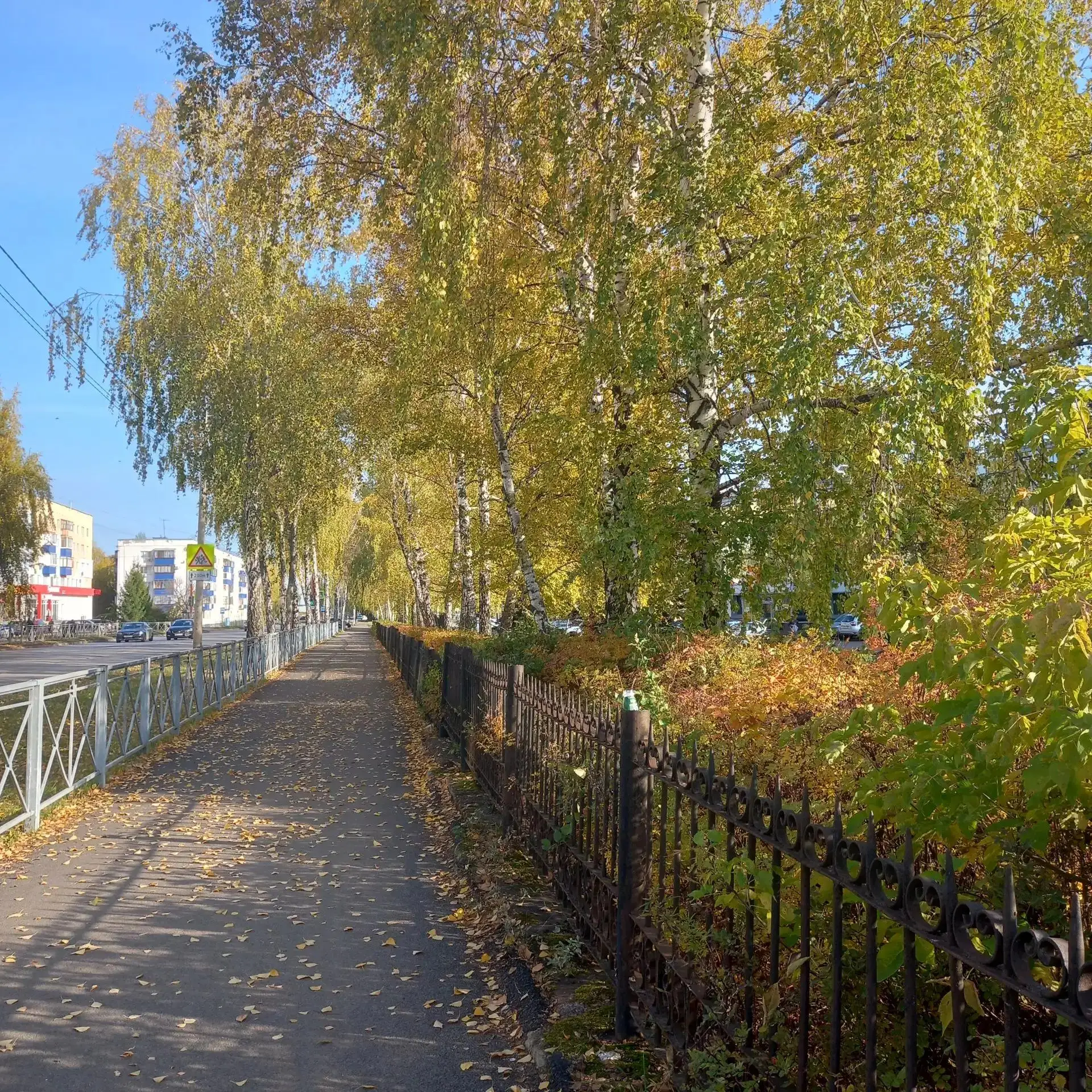 ☀☀В Башкирию вернулось бабье лето