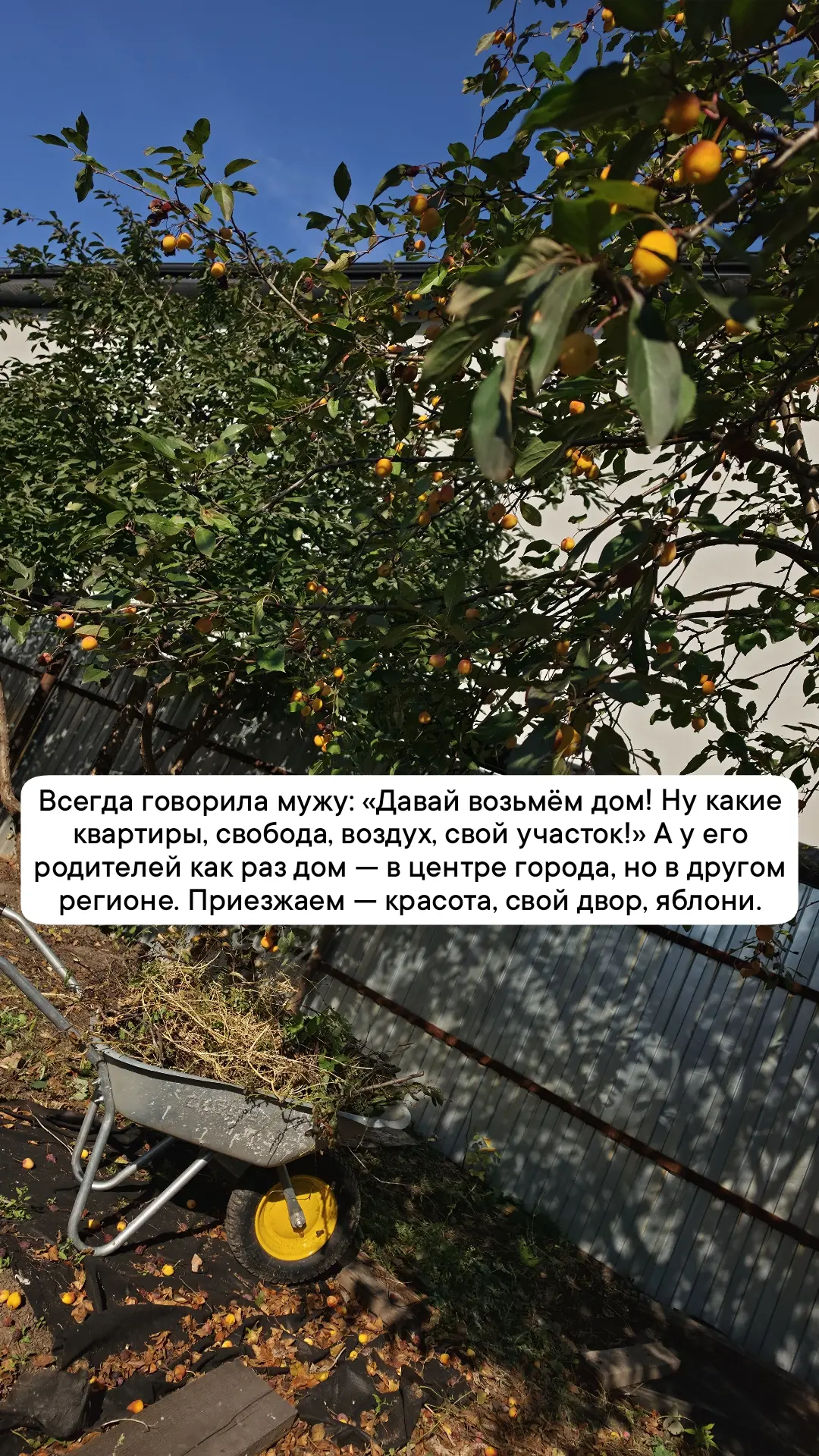 Дом конечно хорошо, но квартира лучше😂
