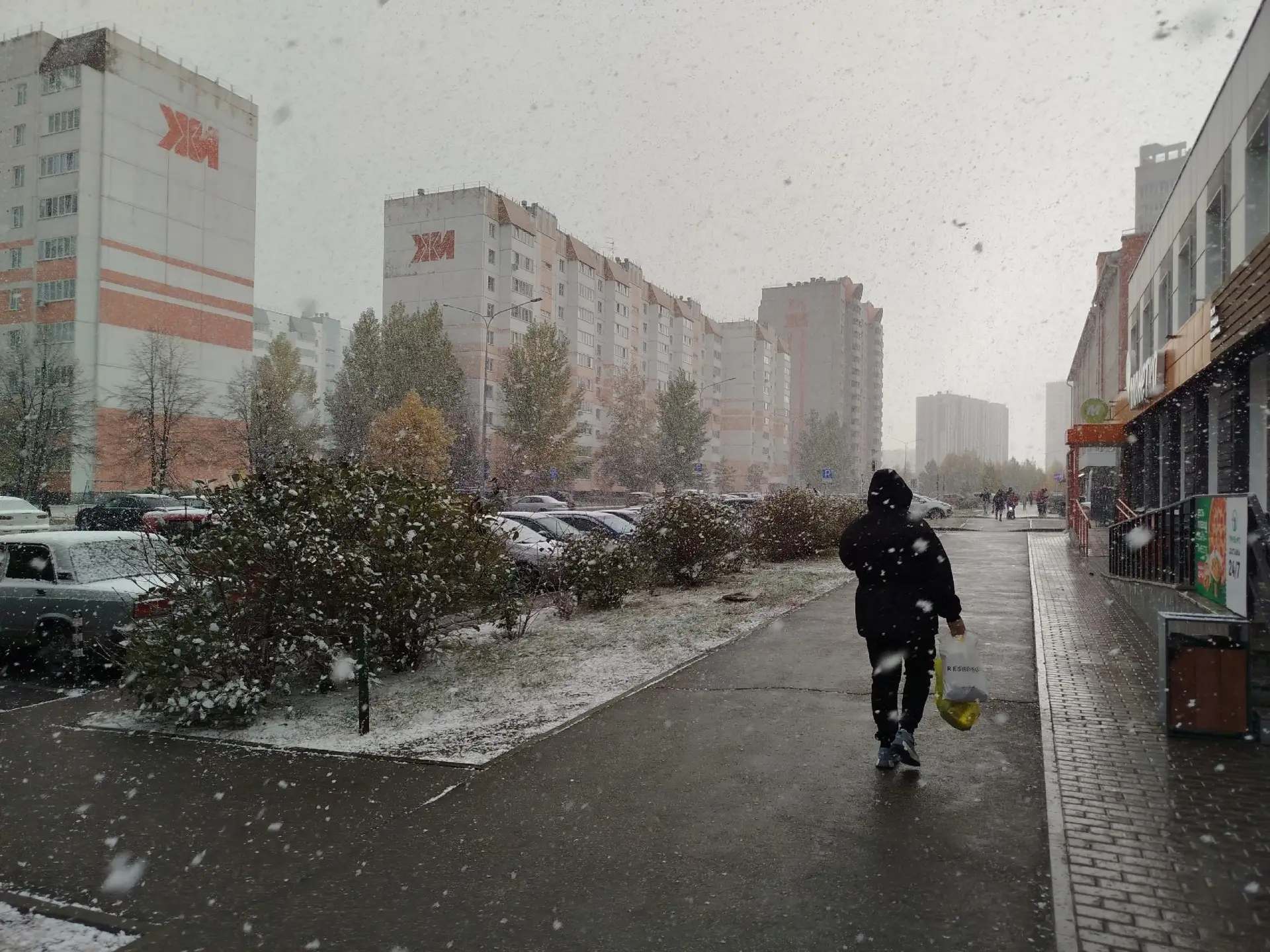 ❄️Барнаул накрыл вечерний снегопад