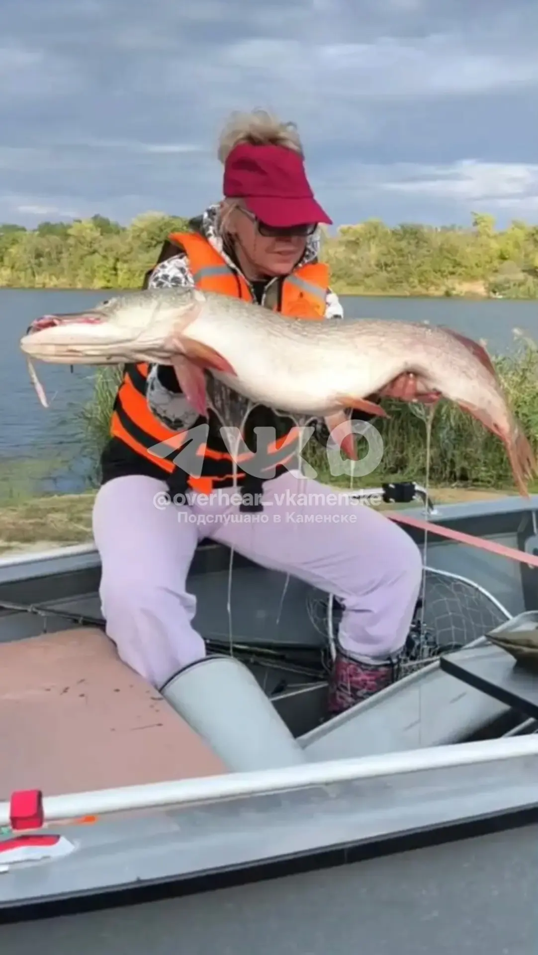 🎣 "Вот такие хищники весом в 10 кг обитают в нашем Донце! 🦈 Улов — на десятку!" — дел...
