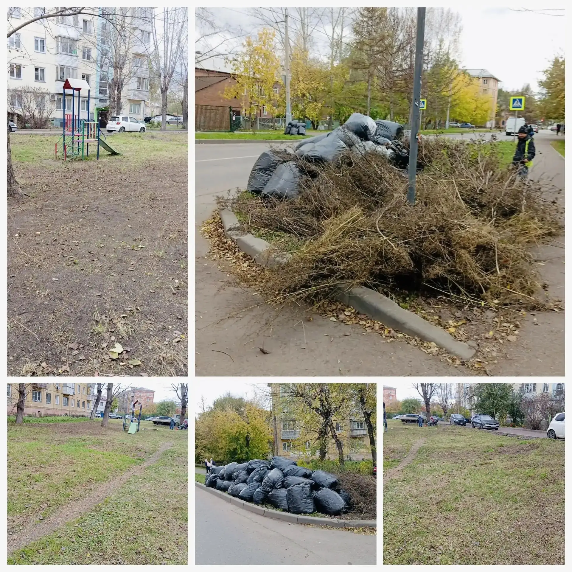 Чистота и порядок🌿