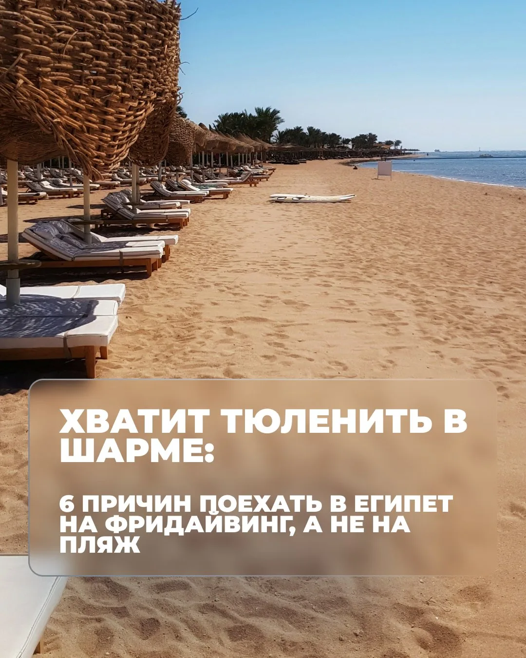 Фридайвинг в Египте — это совершенно другой уровень перезагрузки, который не сравнится ...