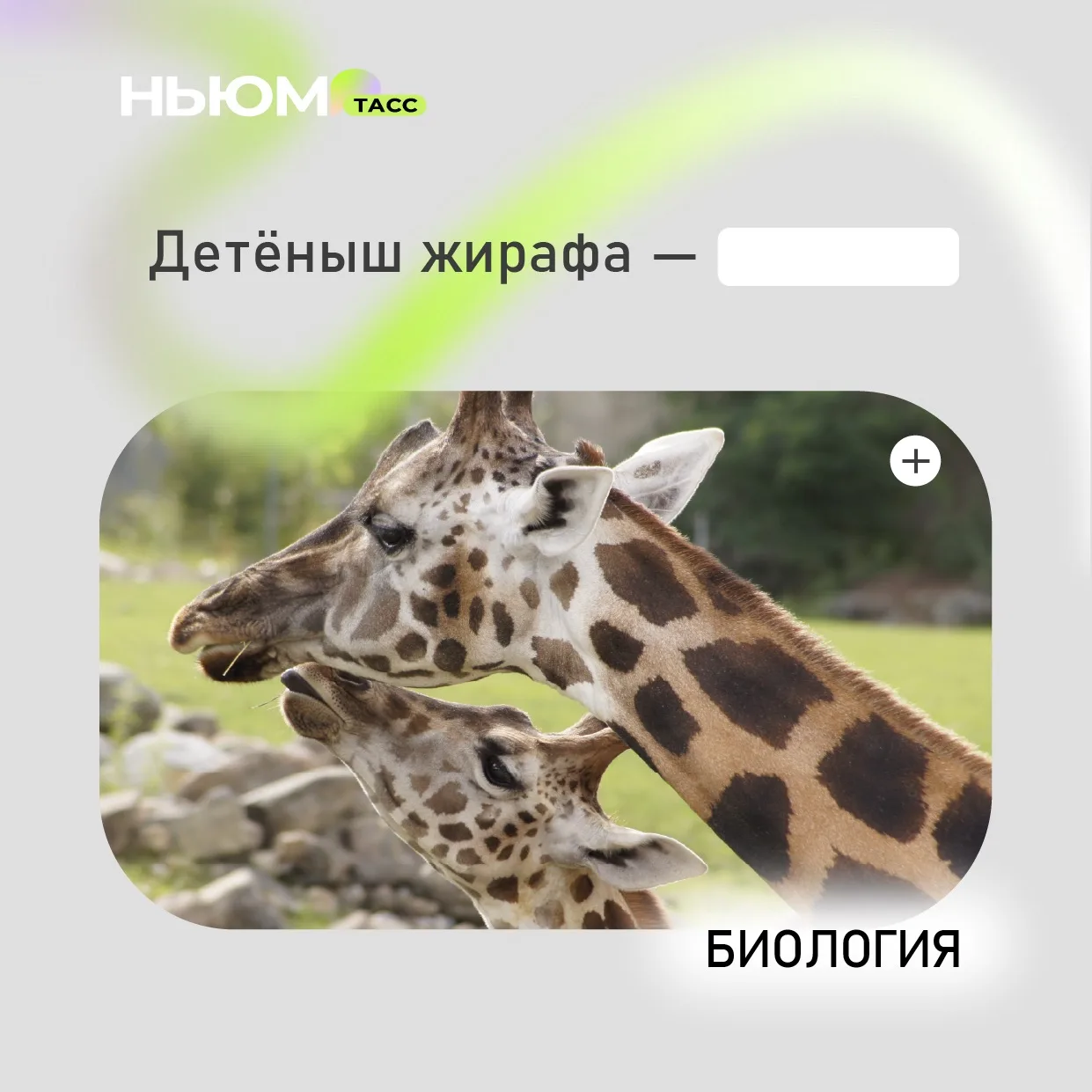 Проверим, как хорошо вы знаете биологию. В карточке спрятали слово. Попробуйте угадать.