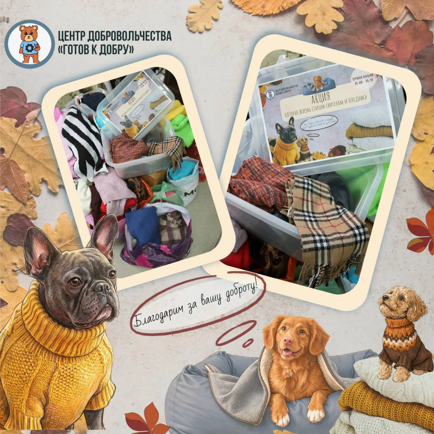 🍂 Благодарим за ваше тепло! 🍂