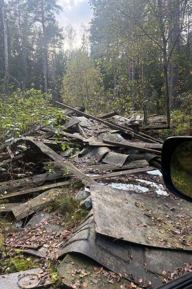 ⚡️Наш подписчик Алексей отправился в лес за грибами, а наткнулся на огромную несанкцион...