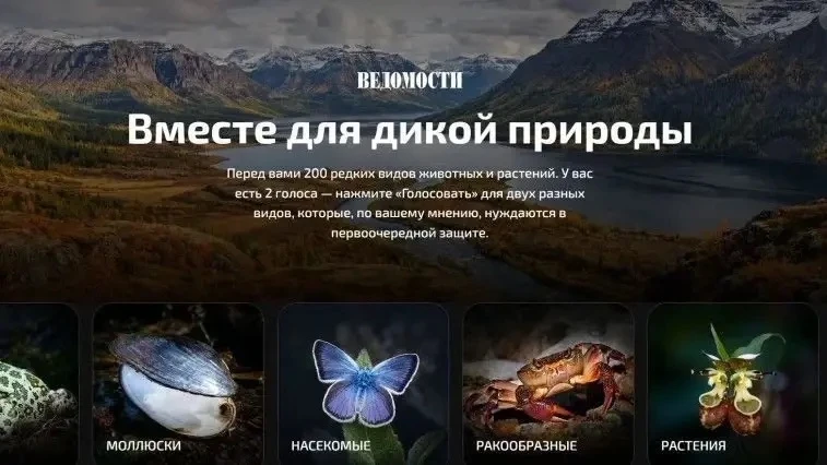 ✅Ваш голос — в защиту дикой природы!