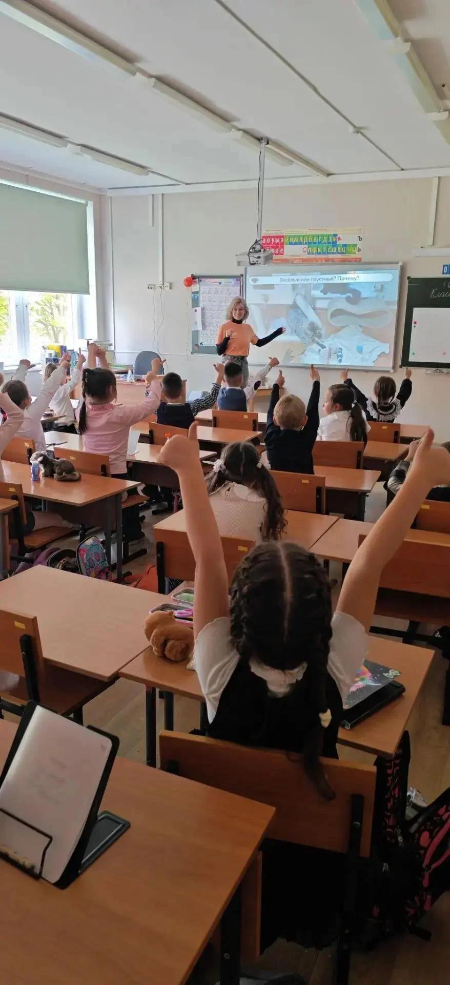 🐾 Уроки заботы о животных 🐾