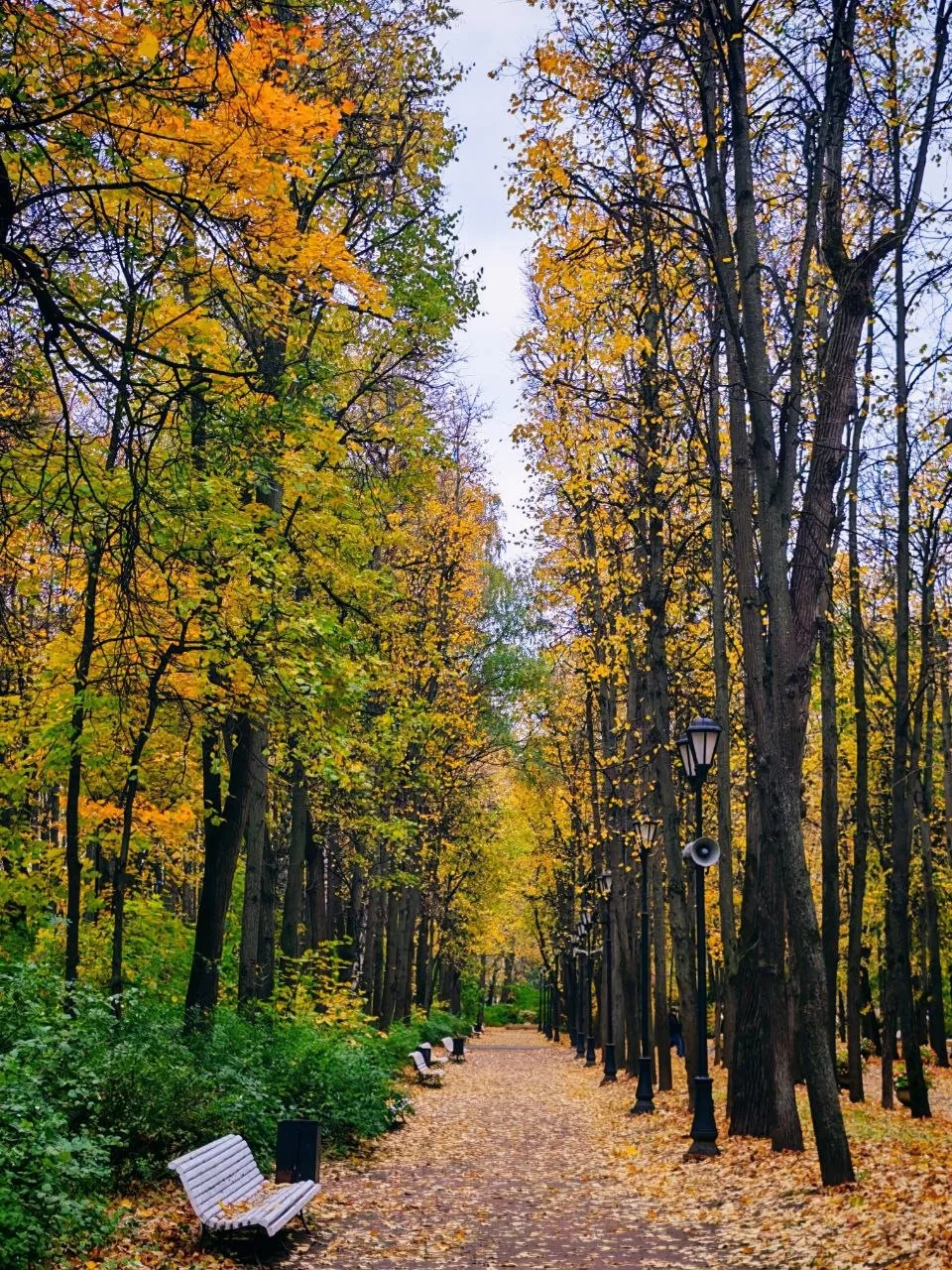 Осень в Нескучном саду