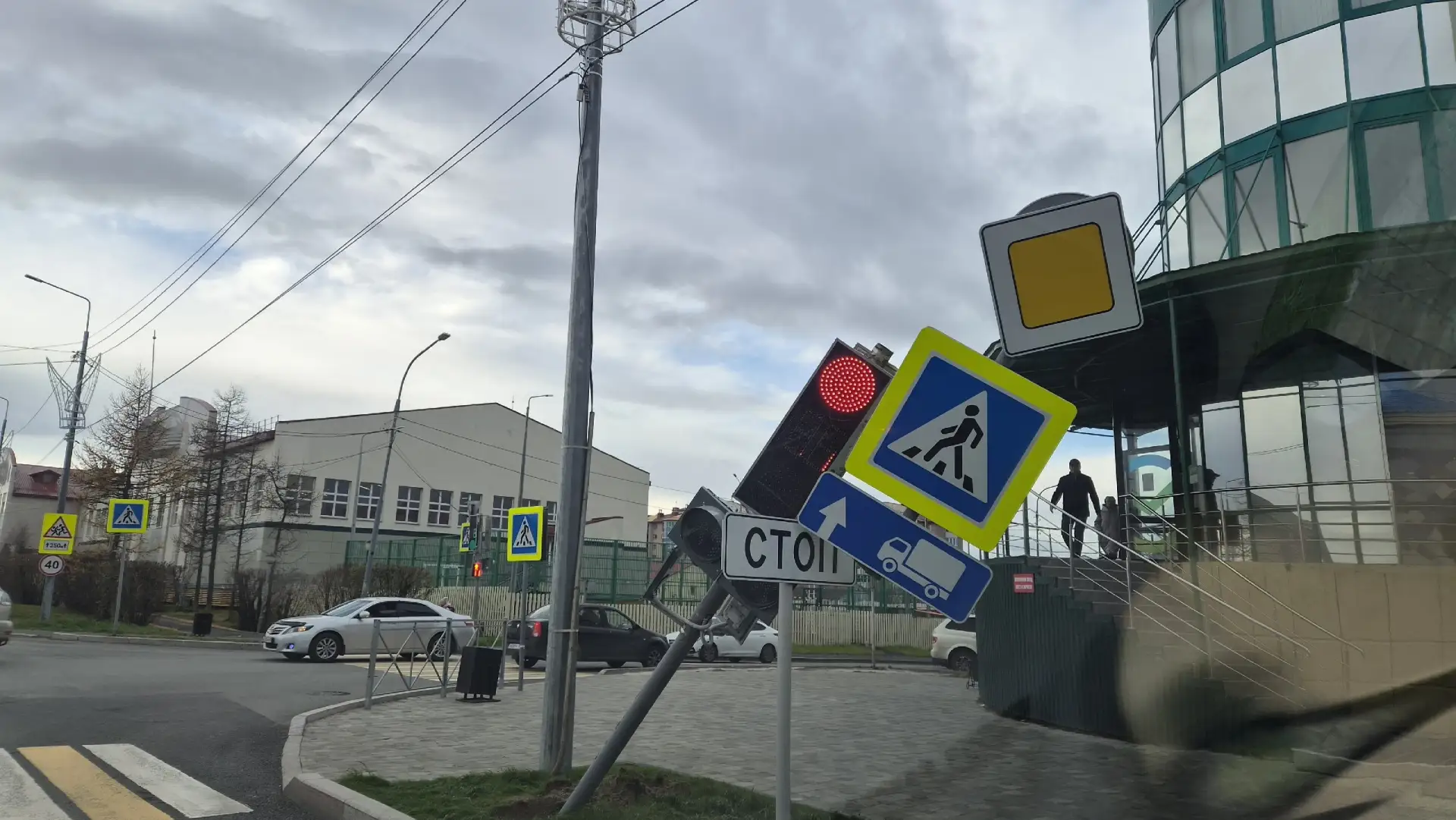 Когда после дорожных работ не успел пустить корни...