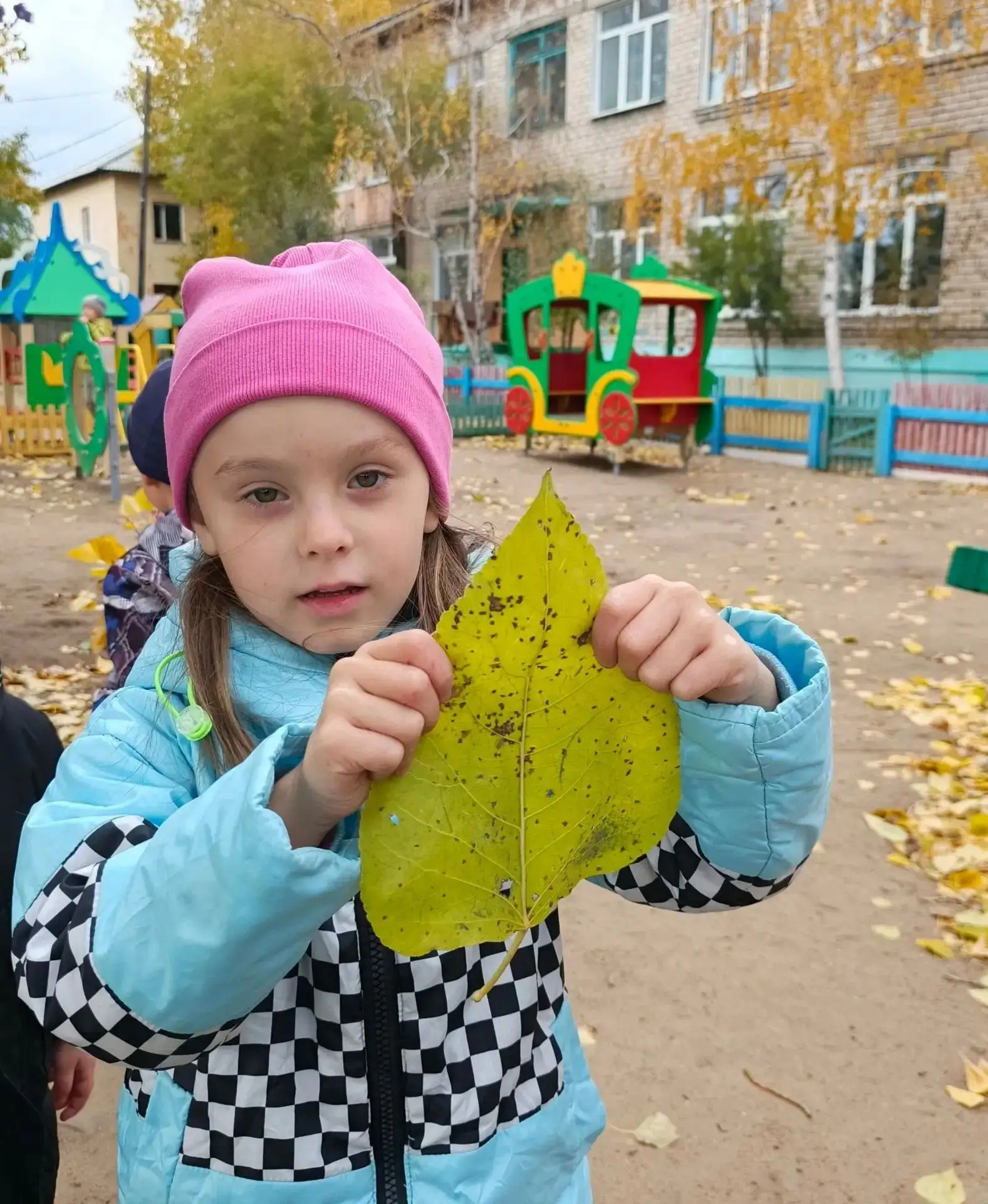 «Золотая осень в ладошках: „Ромашки“ собрали свои самые солнечные букеты!»