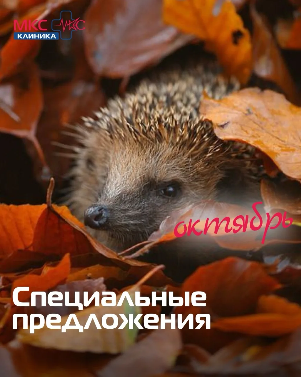 🍂 АКЦИИ ОКТЯБРЯ