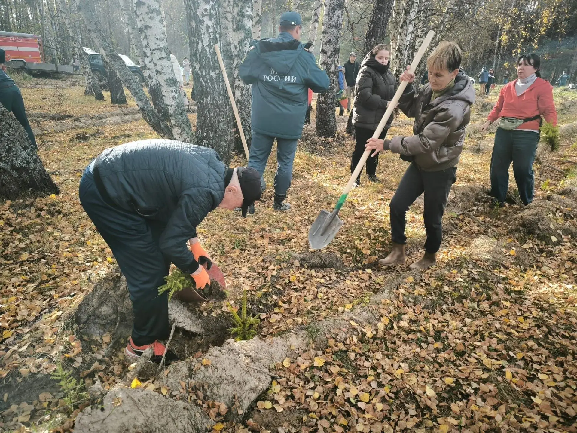 Сотрудники Главного управления приняли участие в экологической акции «Сохраним лес»