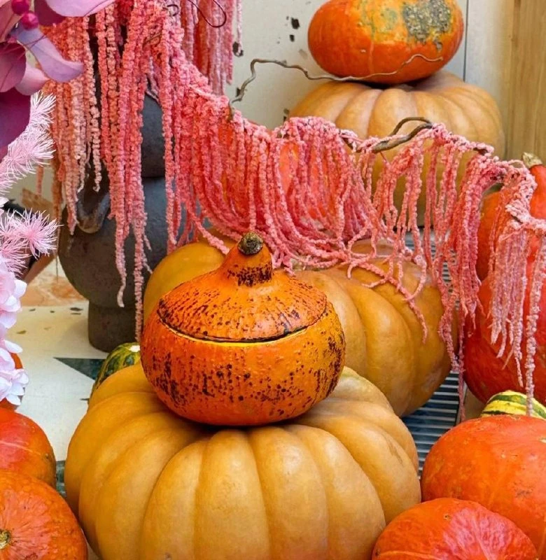 🎃 Тыквенный суп прямо в тыкве появился в OMG Coffee