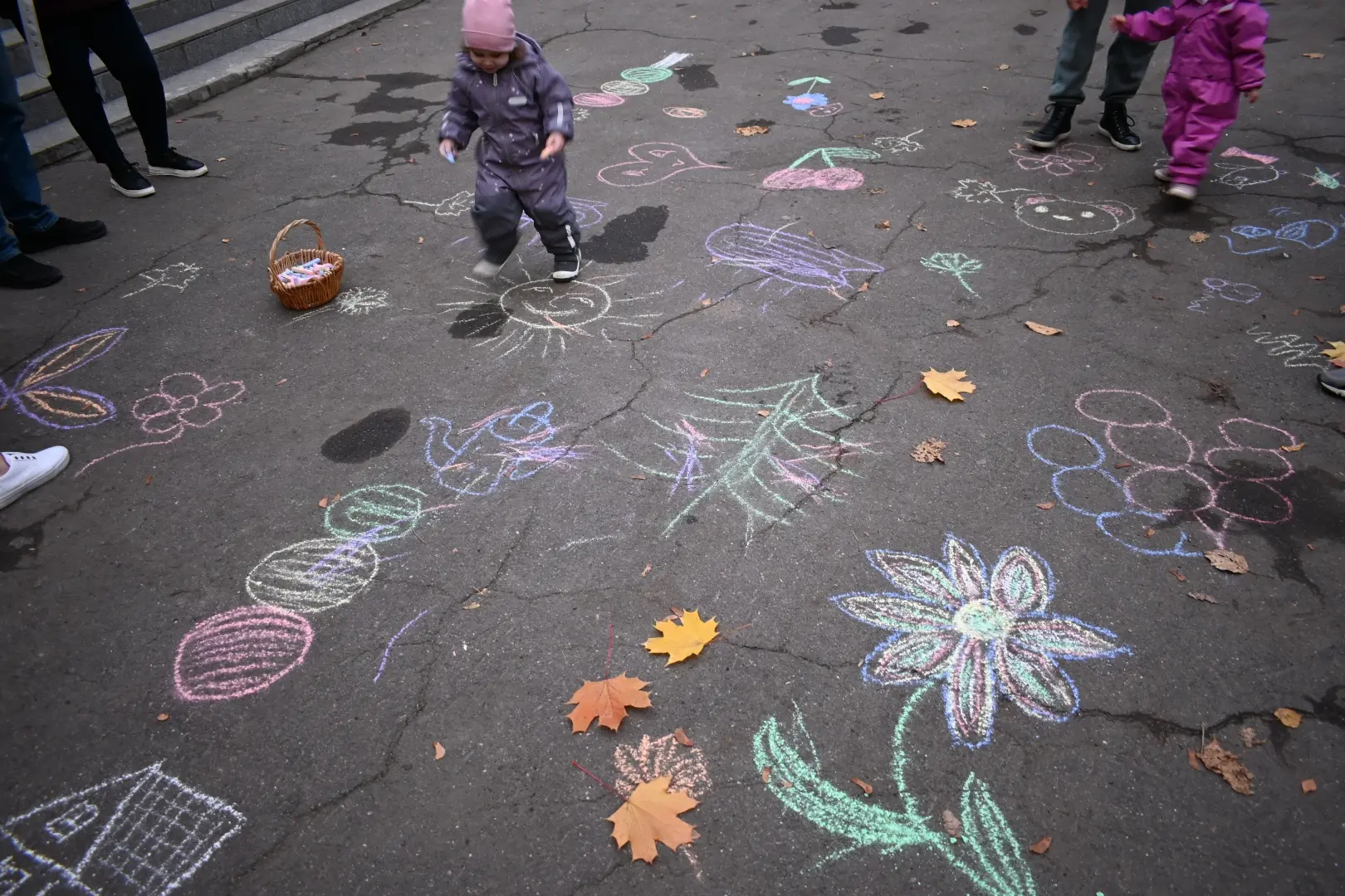 🍂 Осенний листопад отшумел!