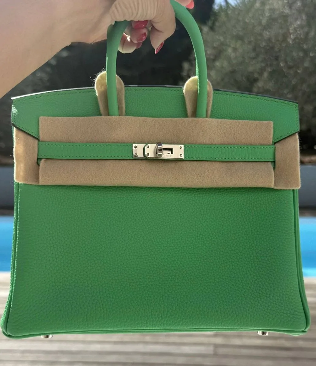 Hermes Birkin 25 💚